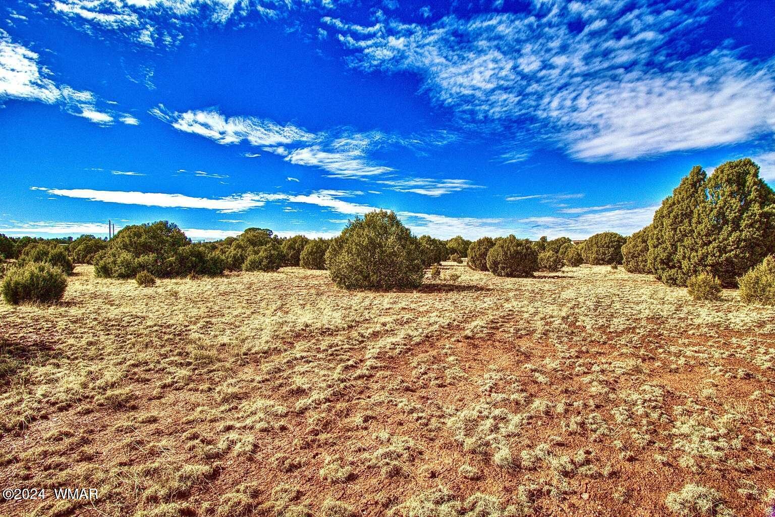 4817 Sawmill Road Clay Springs, AZ 85923 - Photo 2 of 18 Gallery Image 2