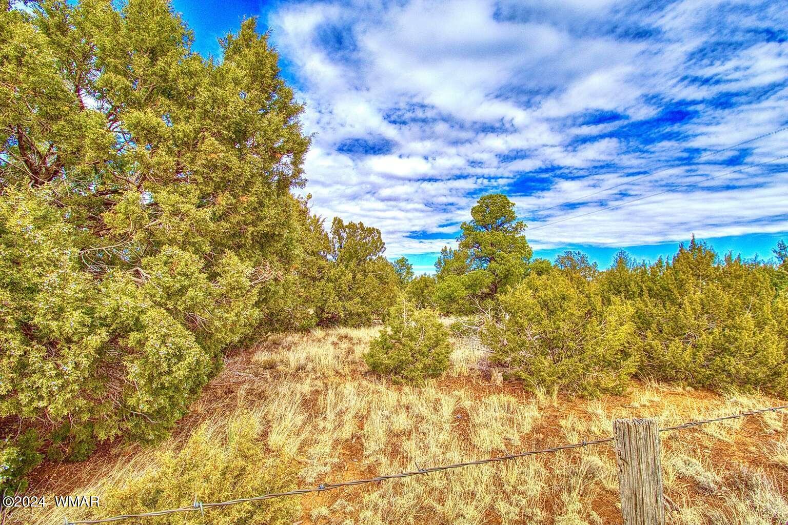 4817 Sawmill Road Clay Springs, AZ 85923 - Photo 3 of 18 Gallery Image 3