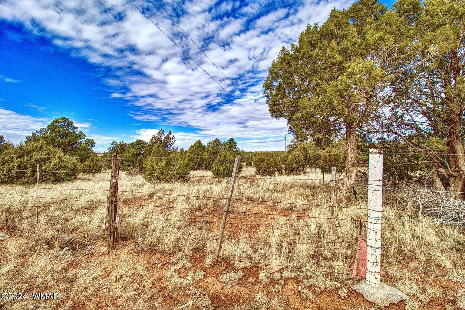 4817 Sawmill Road Clay Springs, AZ 85923 - Photo 4 of 18 Gallery Image 4