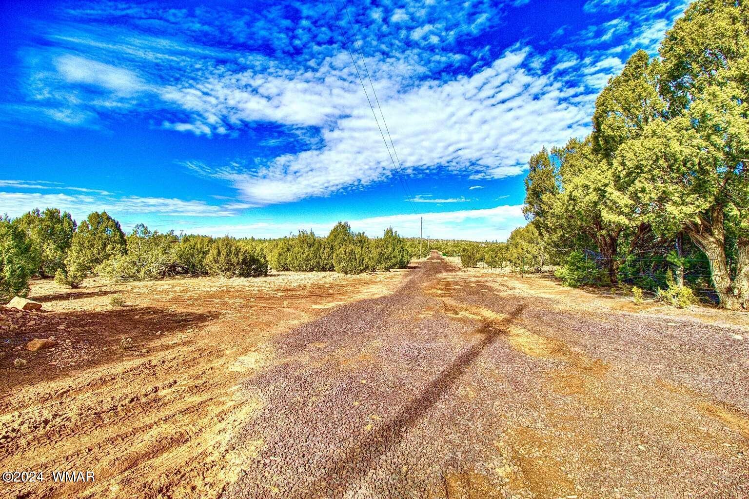 4817 Sawmill Road Clay Springs, AZ 85923 - Photo 5 of 18 Gallery Image 5