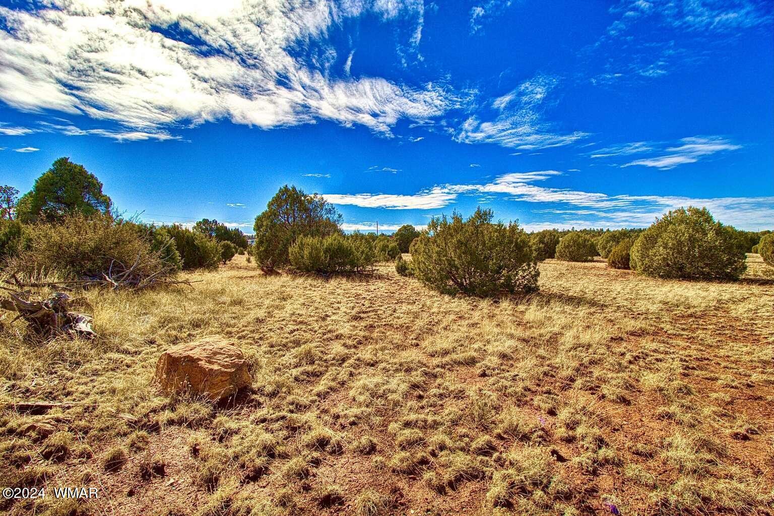 4817 Sawmill Road Clay Springs, AZ 85923 - Photo 6 of 18 Gallery Image 6