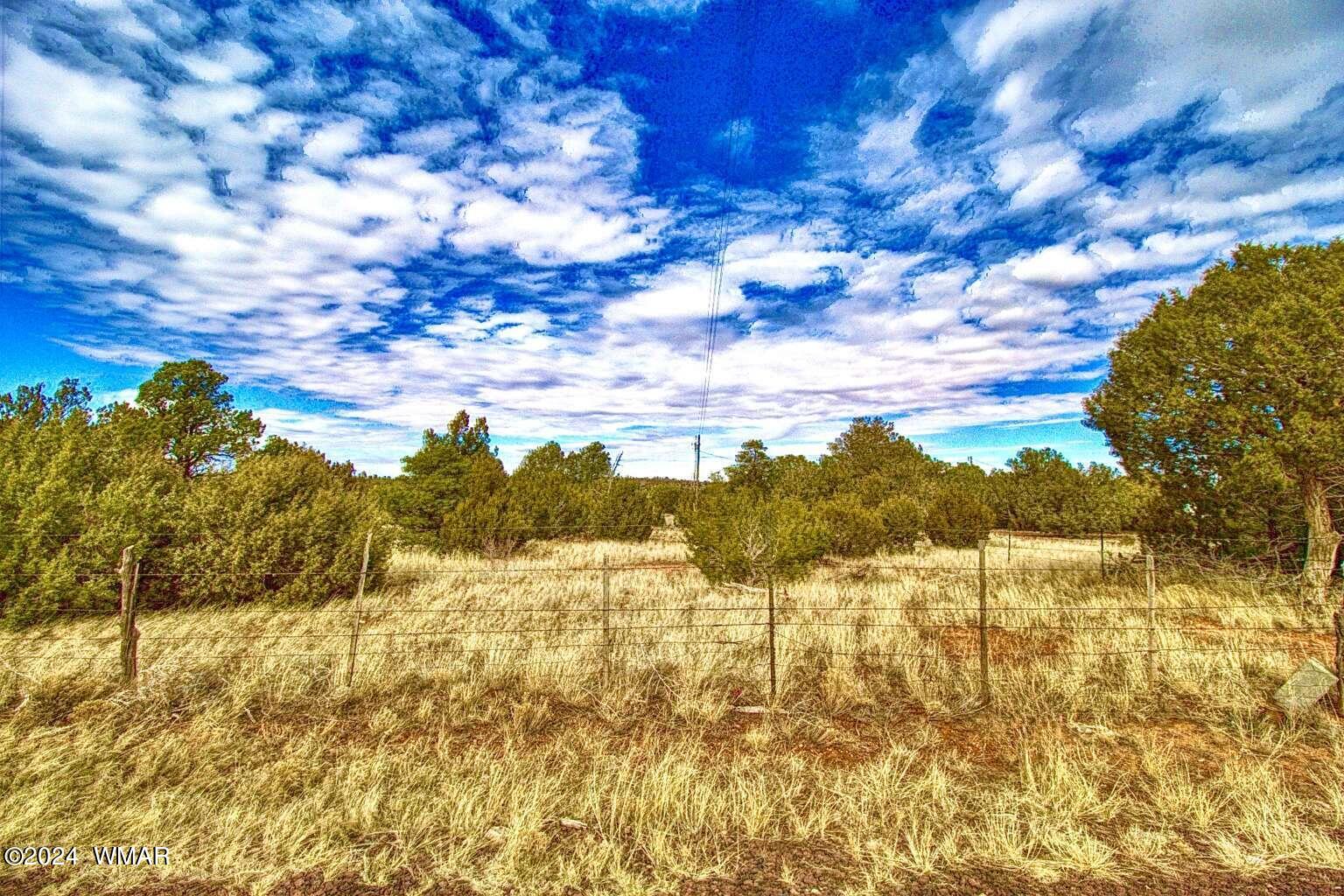 4817 Sawmill Road Clay Springs, AZ 85923 - Photo 7 of 18 Gallery Image 7