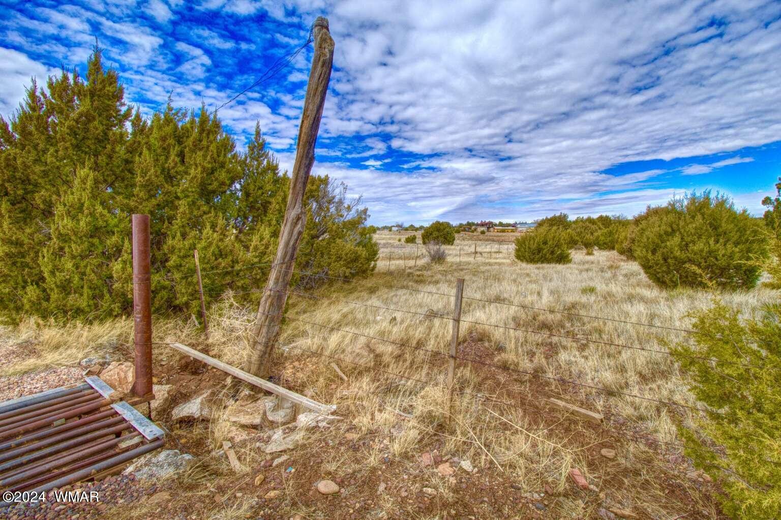 4817 Sawmill Road Clay Springs, AZ 85923 - Photo 8 of 18 Gallery Image 8