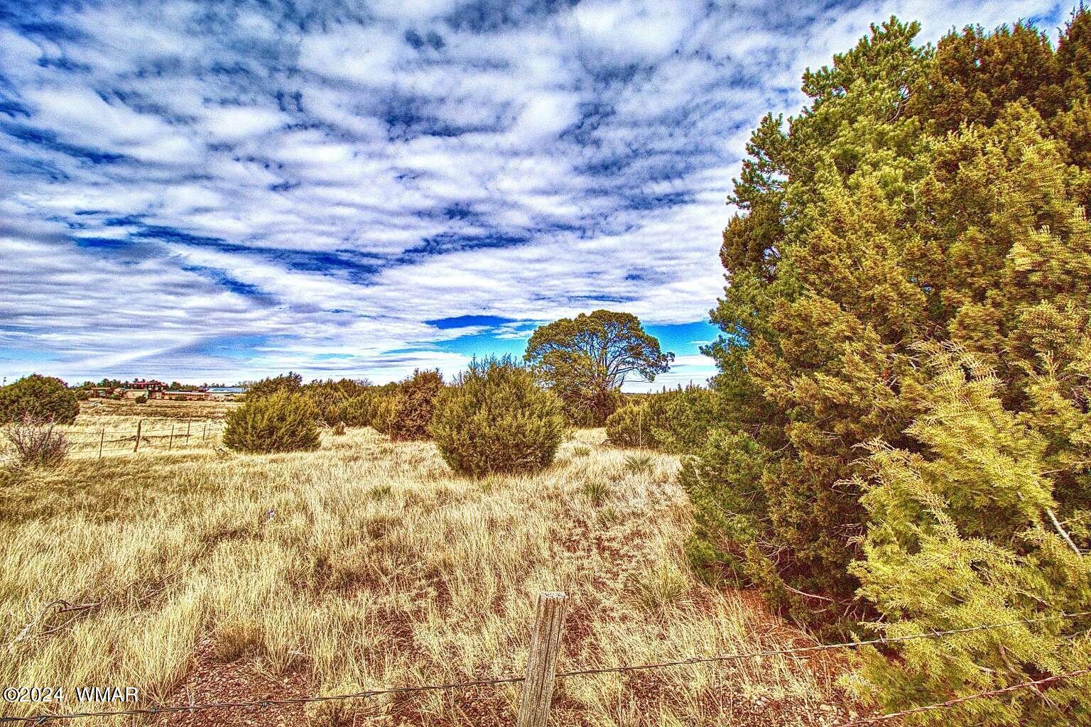 4817 Sawmill Road Clay Springs, AZ 85923 - Photo 9 of 18 Gallery Image 9