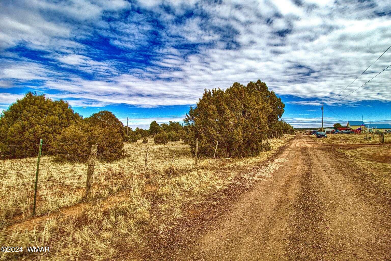 4817 Sawmill Road Clay Springs, AZ 85923 - Photo 10 of 18 Gallery Image 10
