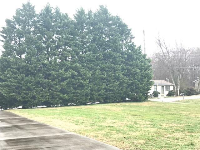 4009 Big Springs Ridge Road Friendsville, TN 37737 - Photo 10 of 10 IMG_4146