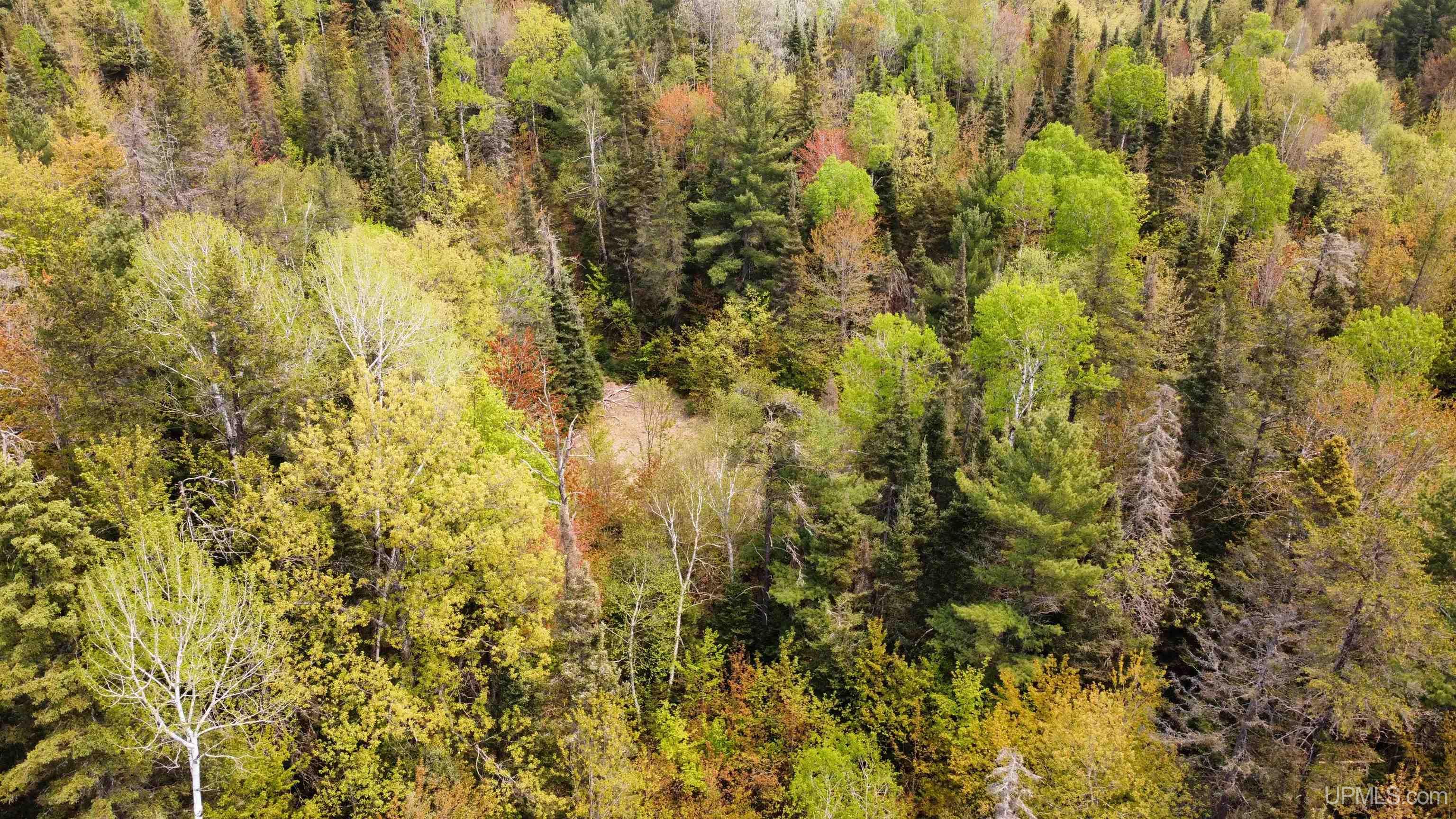 553 County Road Negaunee, MI 49866 - Photo 6 of 10
