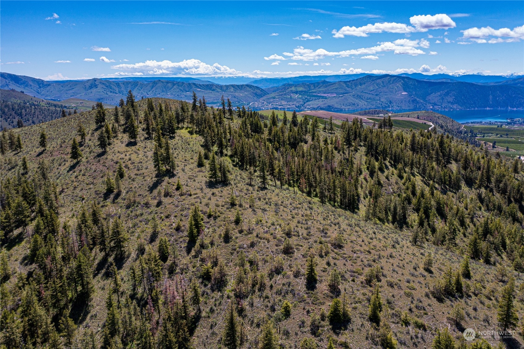 0 Lodge Pole Road Chelan, WA 98816 - Photo 10 of 18 Gallery Image 10