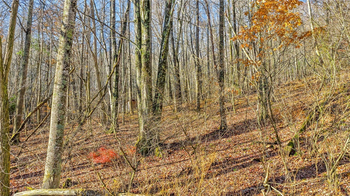1451 Elliott Road West Jefferson, NC 28694 - Photo 7 of 33
