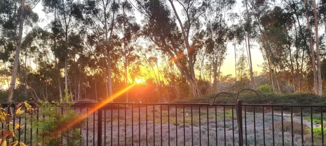 $1,319,000 | 10878 Caminito Colorado, San Diego, CA 92131