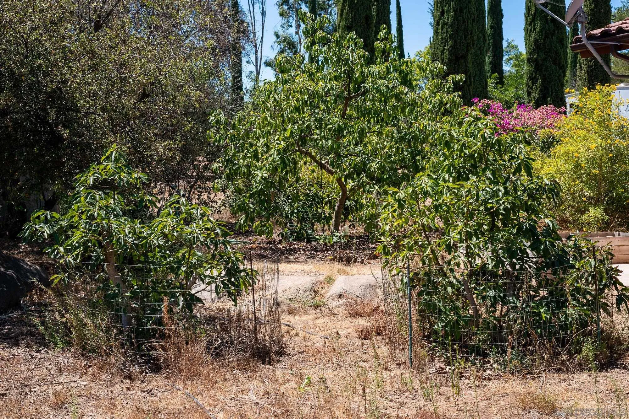 17770 Rancho De La Angel Road Ramona, CA 92065 - Photo 44 of 64 Gallery Image 44