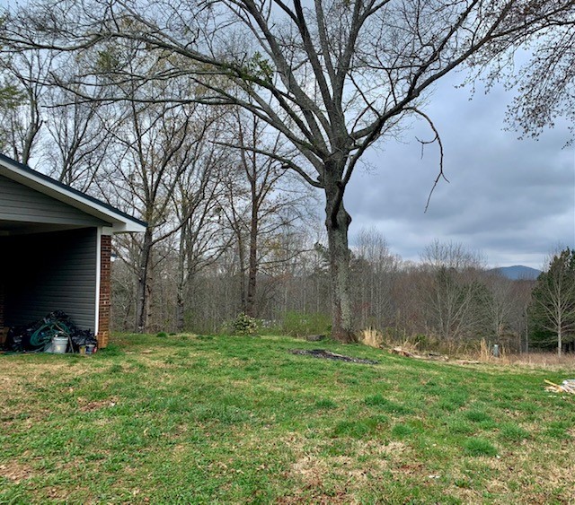 451 Rich Mountain Road Westminster, SC 29693 - Photo 16 of 19 Gallery Image 16