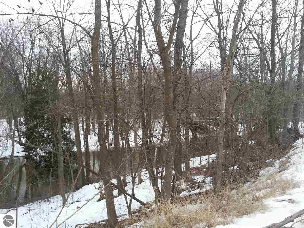 5000 East Valley Road Mount Pleasant, MI 48858 - Photo 4 of 18 1781863-3.JPG