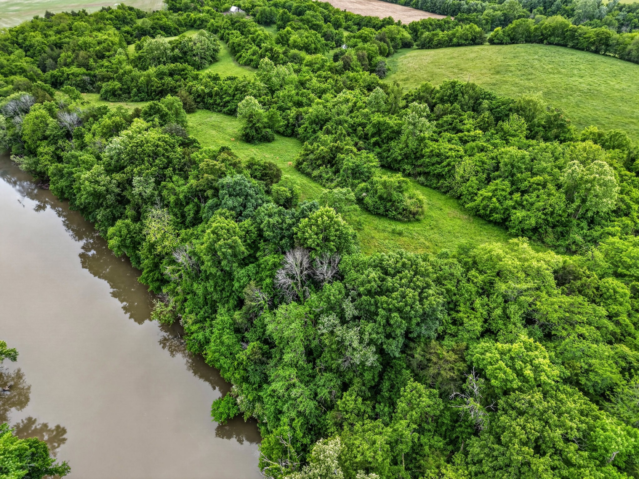 0 Morgan Bend Road Fayetteville, TN 37334 - Photo 11 of 12 a view of a lush green forest with lots of trees