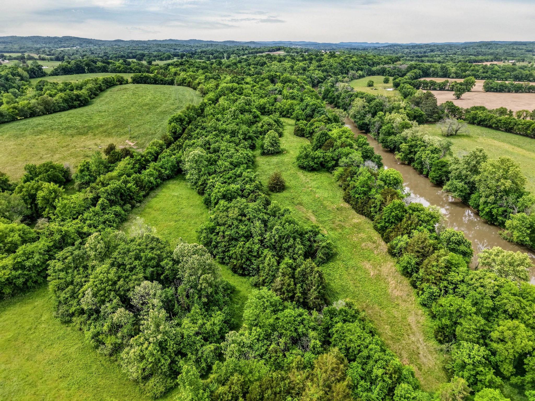 0 Morgan Bend Road Fayetteville, TN 37334 - Photo 2 of 12 a view of a green field with lots of bushes