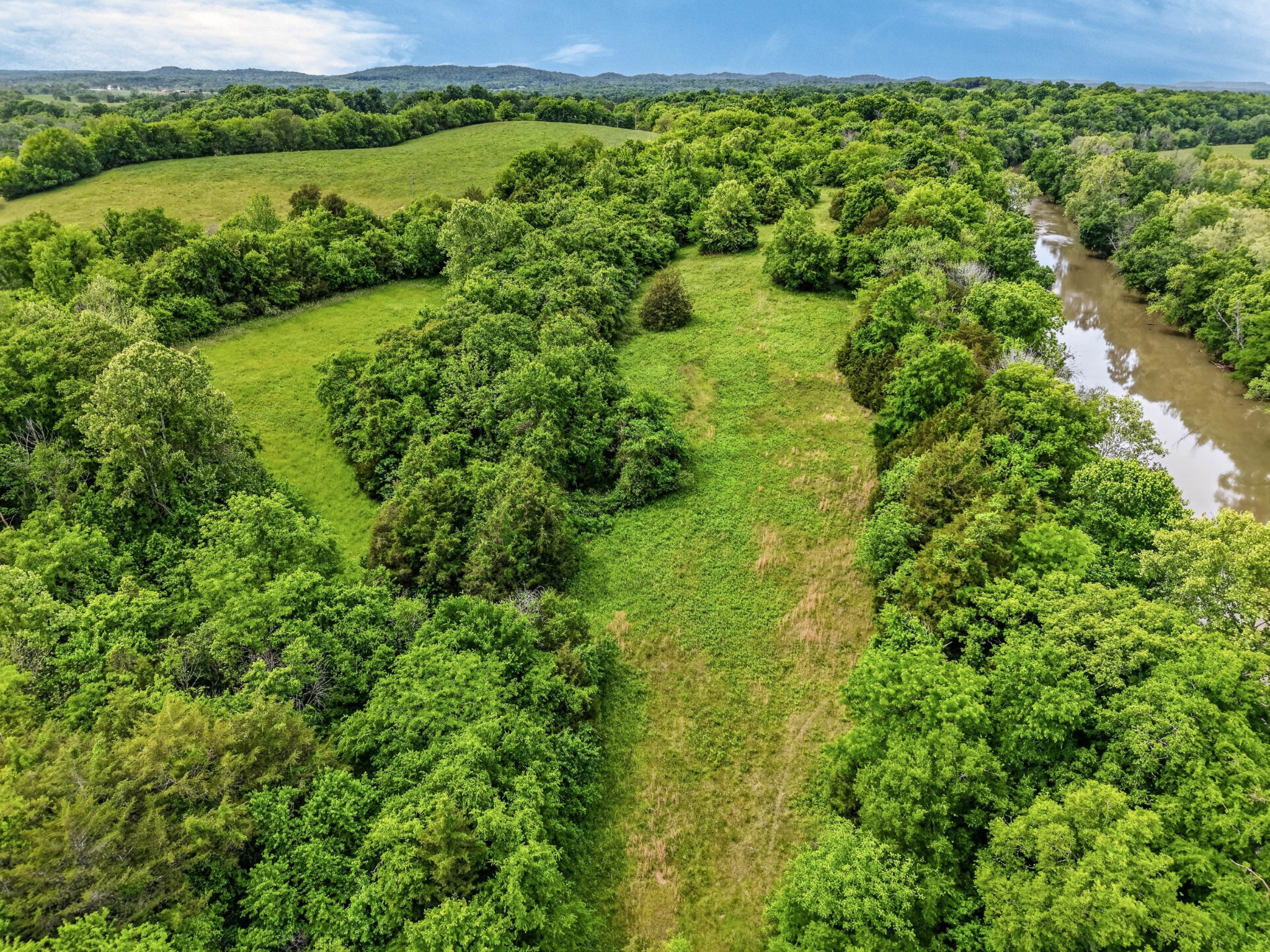 0 Morgan Bend Road Fayetteville, TN 37334 - Photo 3 of 12 a view of a lush green forest with a houses