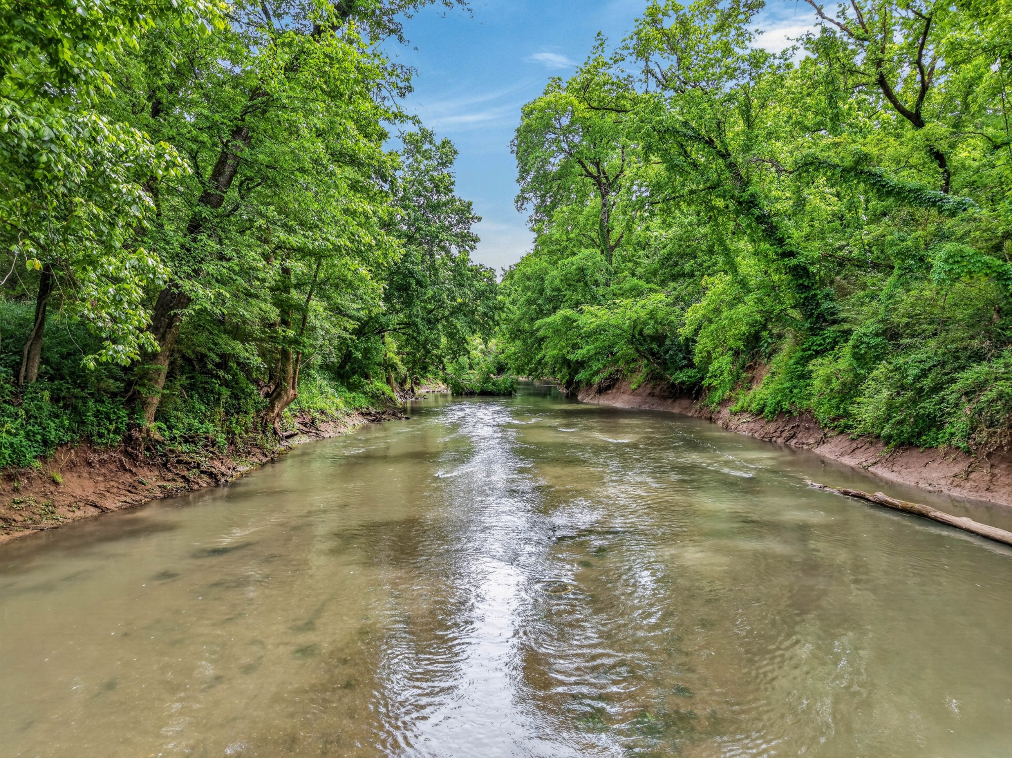 0 Morgan Bend Road Fayetteville, TN 37334 - Photo 9 of 12 a view of water with a tree