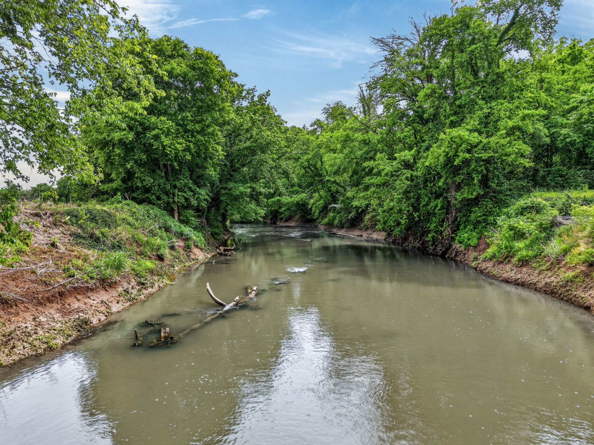 0 Morgan Bend Road Fayetteville, TN 37334 - Photo 10 of 12 a view of a lake with a yard and large trees