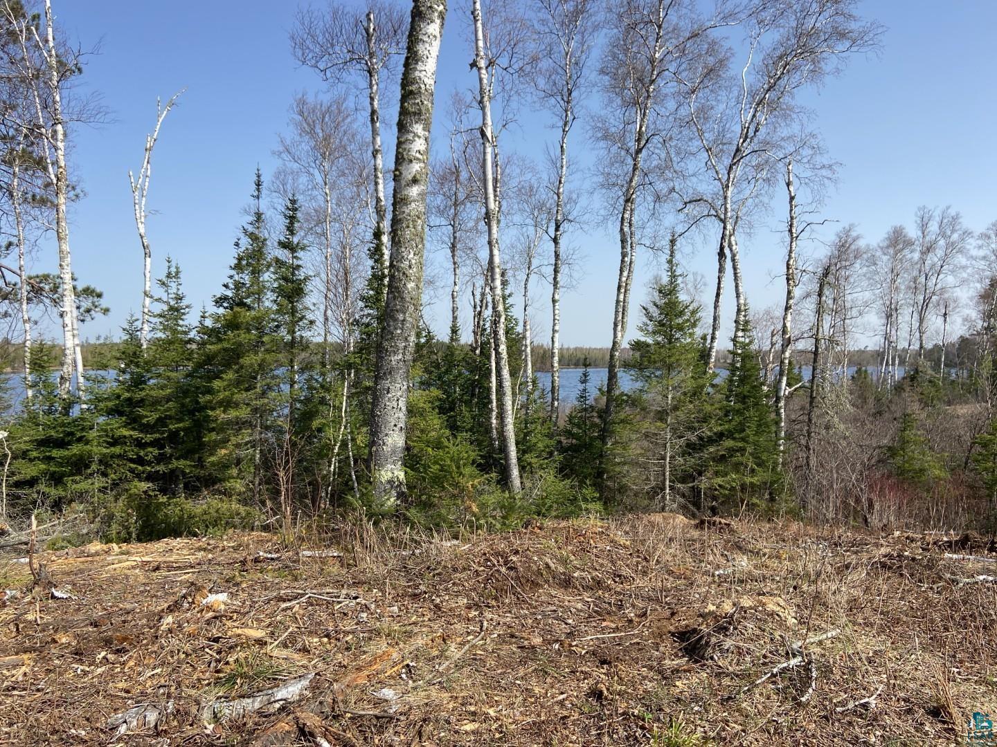 2102-4 Bear Lake Road Duluth, MN 55803 - Photo 8 of 28