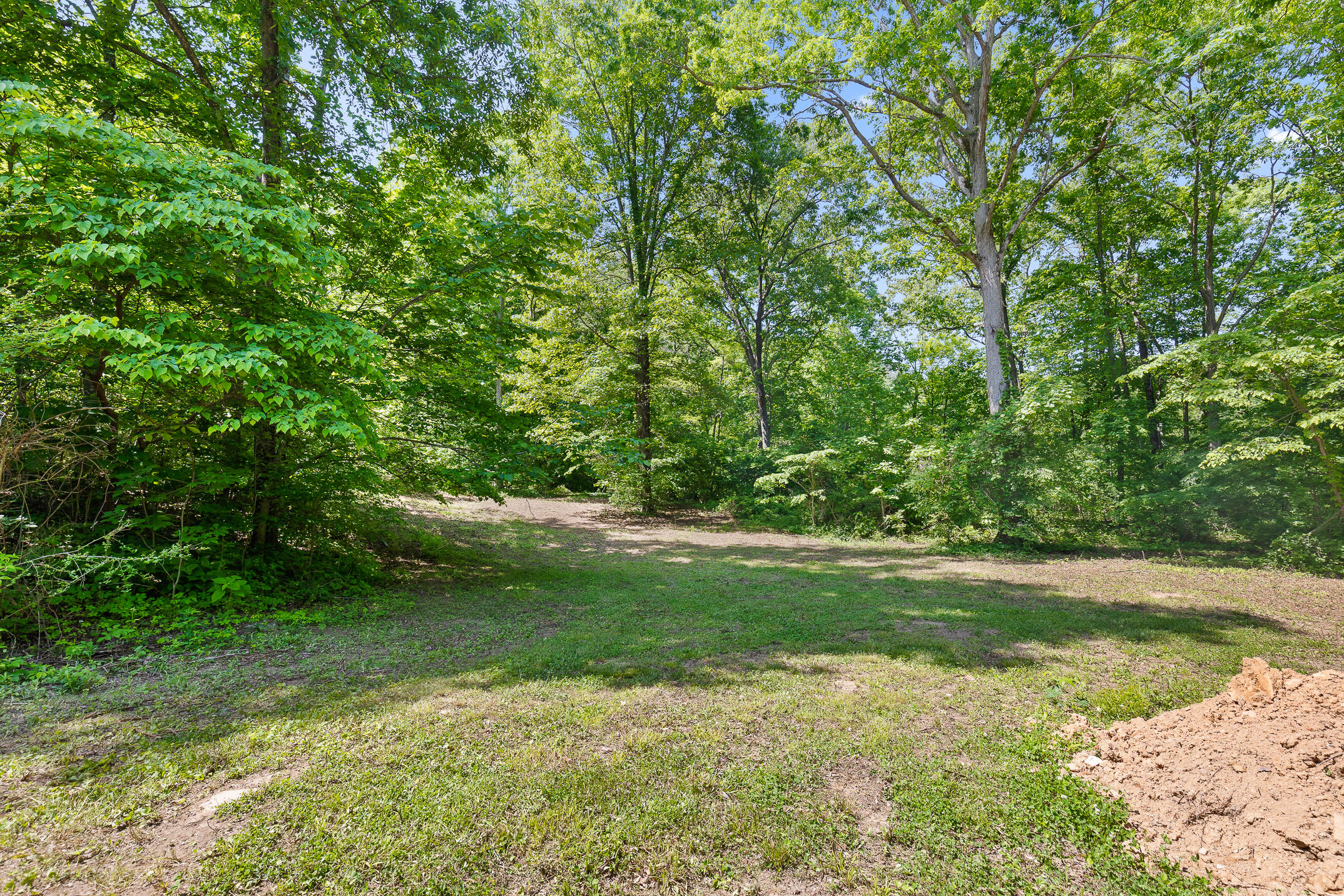 236 Kimball Cove Road Jasper, TN 37347 - Photo 31 of 49 Kimball-29