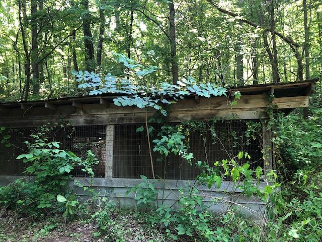 236 Kimball Cove Road Jasper, TN 37347 - Photo 38 of 49 Kimball Cove Rd. CC