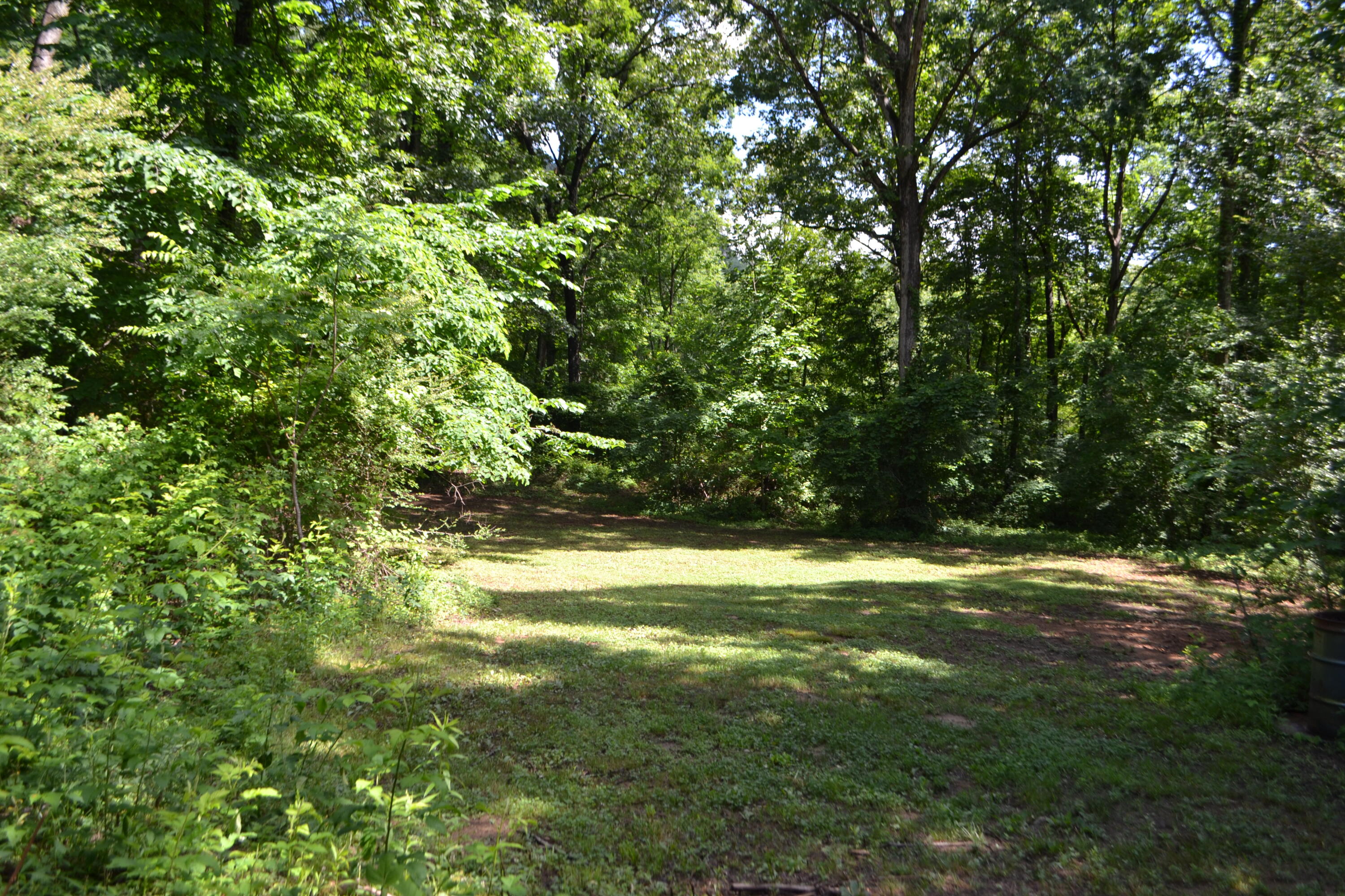 236 Kimball Cove Road Jasper, TN 37347 - Photo 47 of 49 DSC_0496