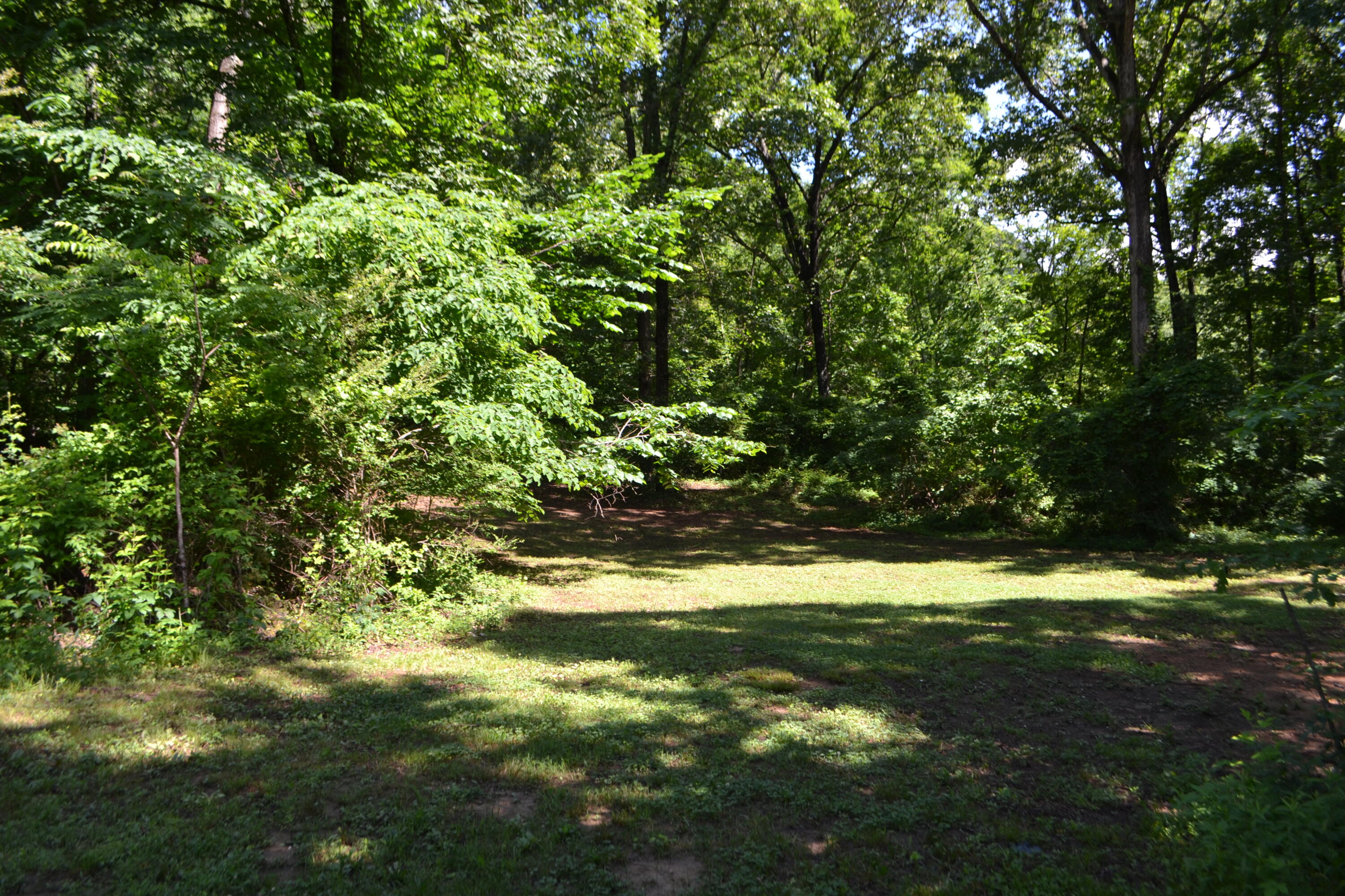 236 Kimball Cove Road Jasper, TN 37347 - Photo 49 of 49 DSC_0500