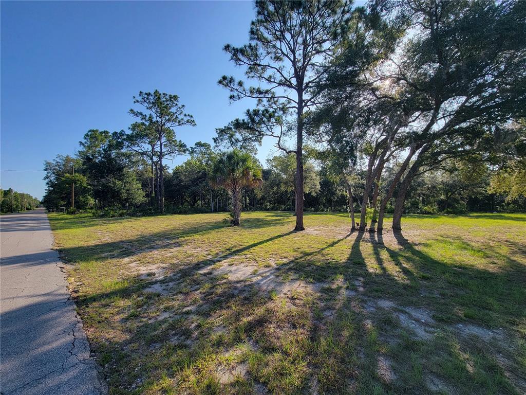2075 South Colonial Avenue Homosassa, FL 34448 - Photo 2 of 5