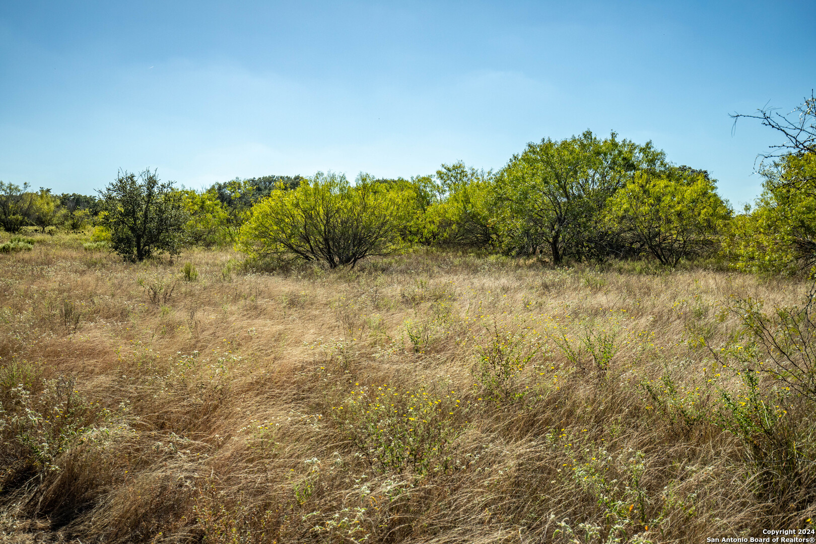 21123 Lamm Road Elmendorf, TX 78112 - Photo 14 of 45 a view of a yard with trees