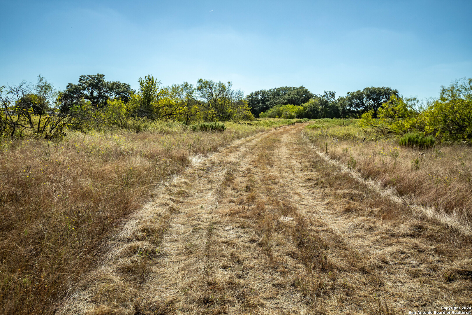 21123 Lamm Road Elmendorf, TX 78112 - Photo 16 of 45 a view of a field with an outdoor space