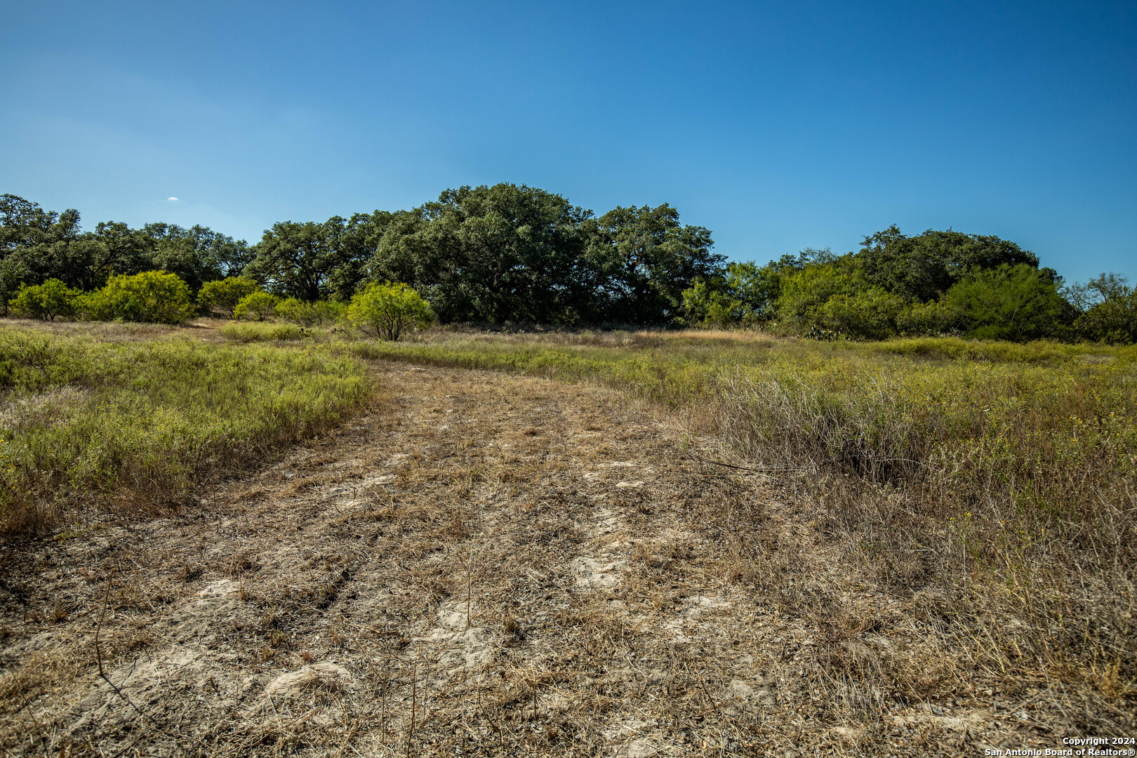21123 Lamm Road Elmendorf, TX 78112 - Photo 21 of 45 a view of a field of grass and trees