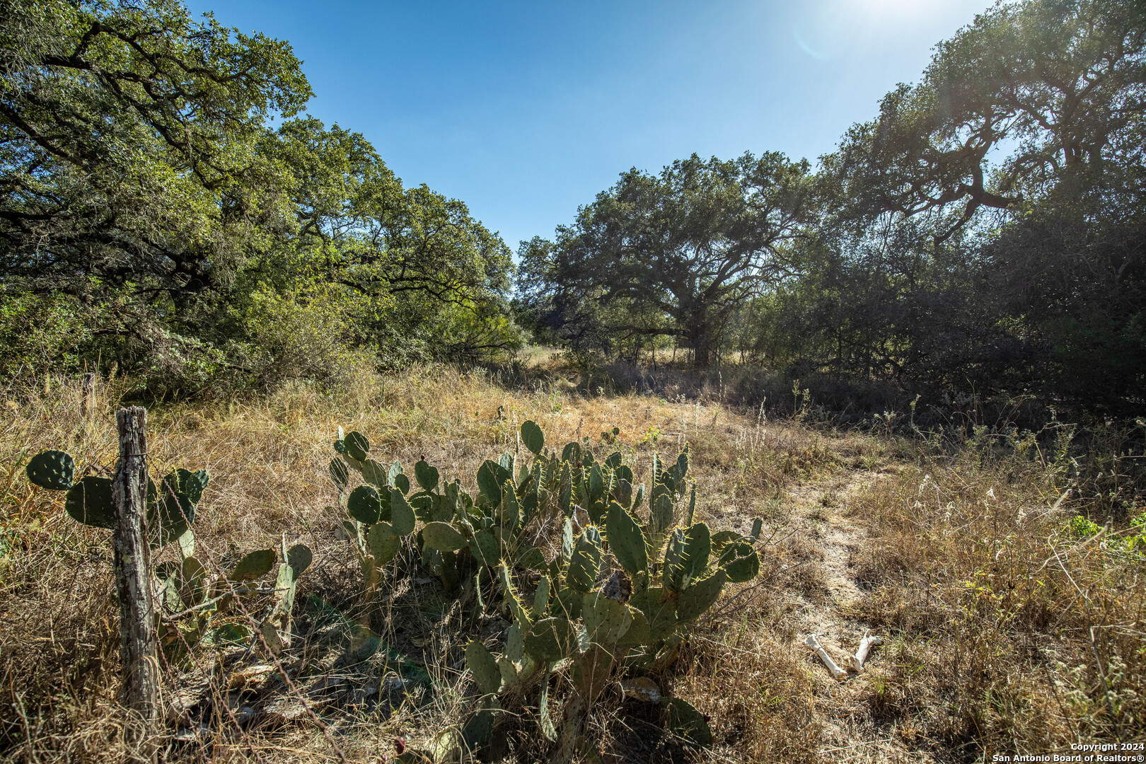 21123 Lamm Road Elmendorf, TX 78112 - Photo 27 of 45 a view of a yard