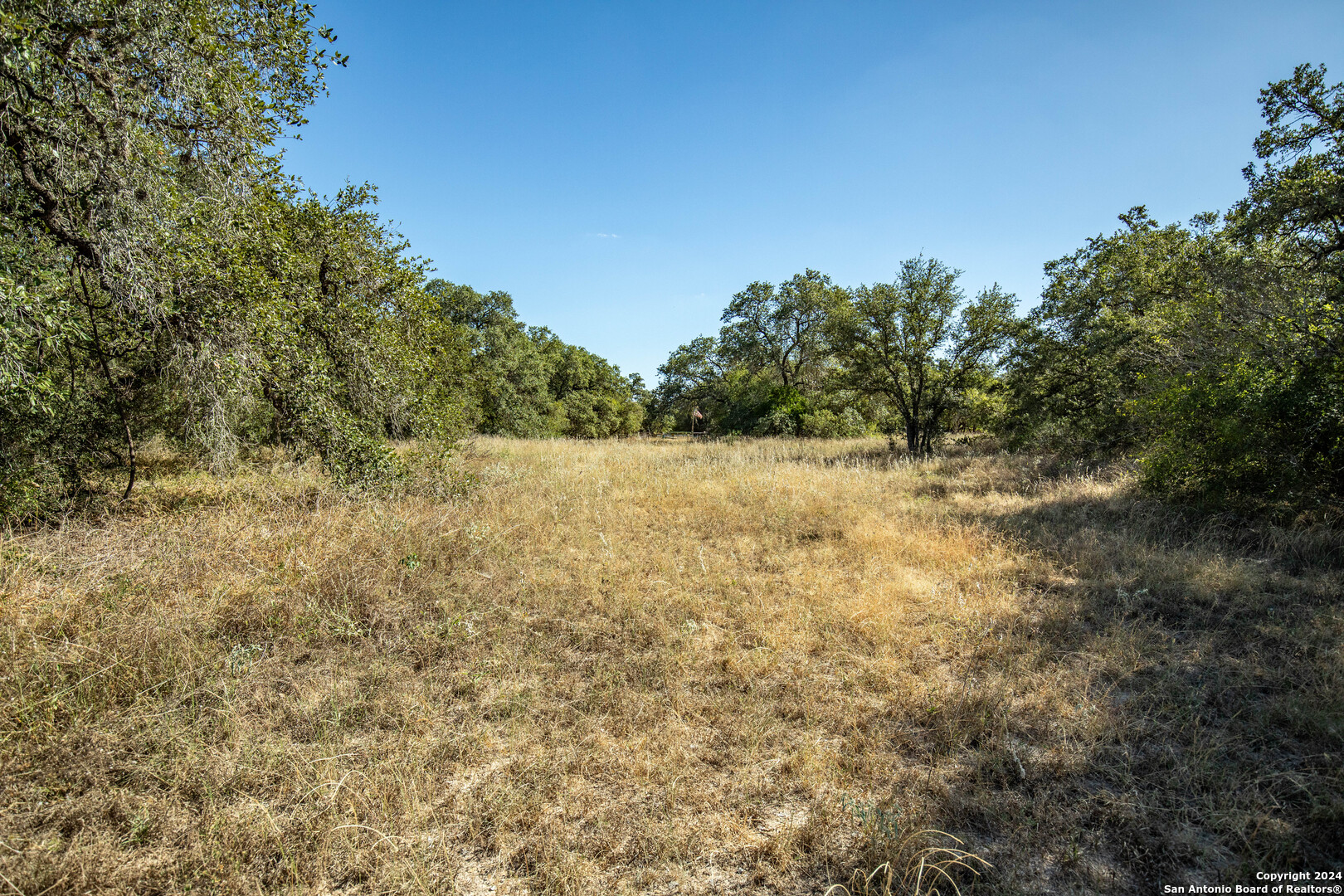 21123 Lamm Road Elmendorf, TX 78112 - Photo 28 of 45 a view of a field with trees in the background