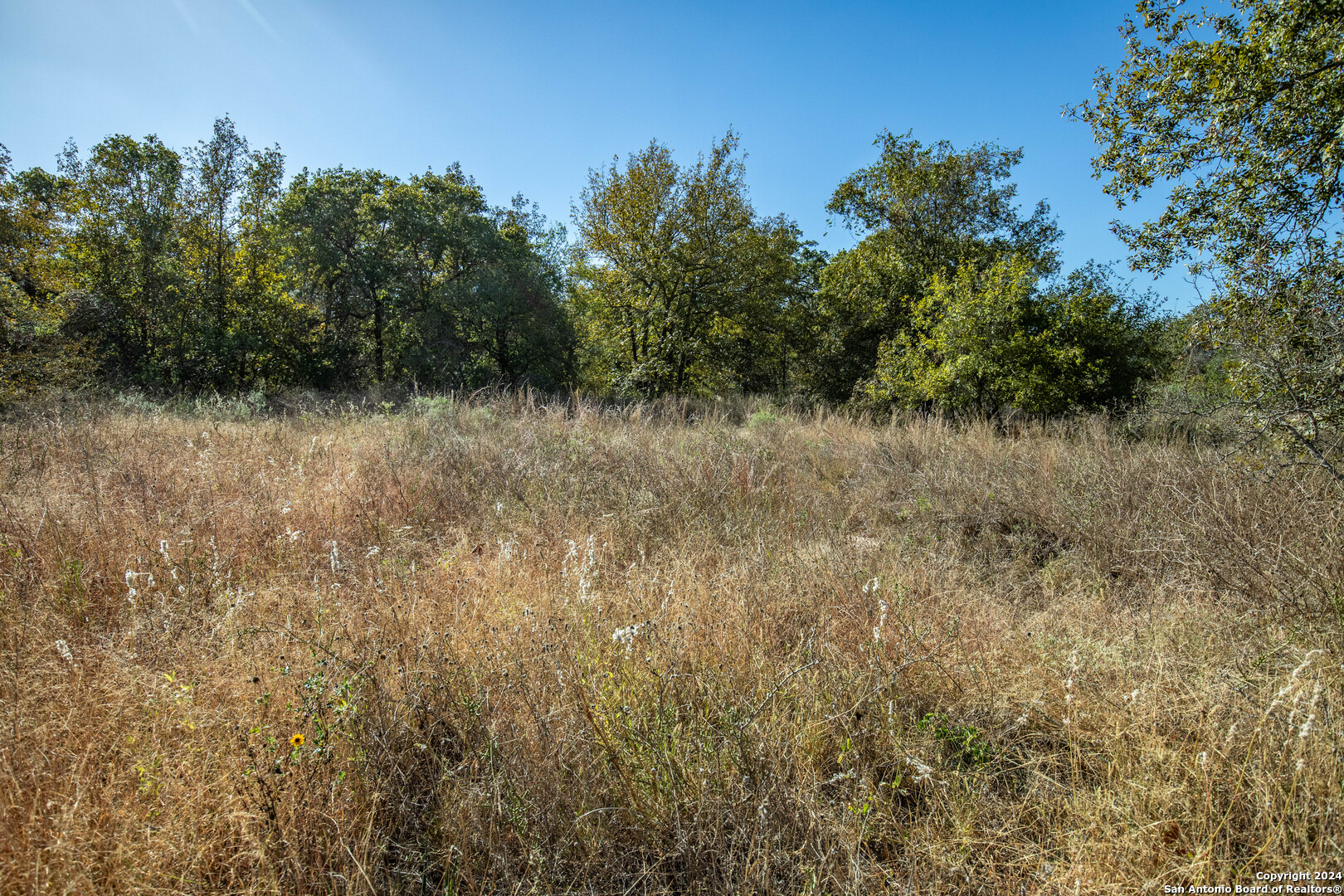 21123 Lamm Road Elmendorf, TX 78112 - Photo 35 of 45 a view of a dry yard with trees in the background