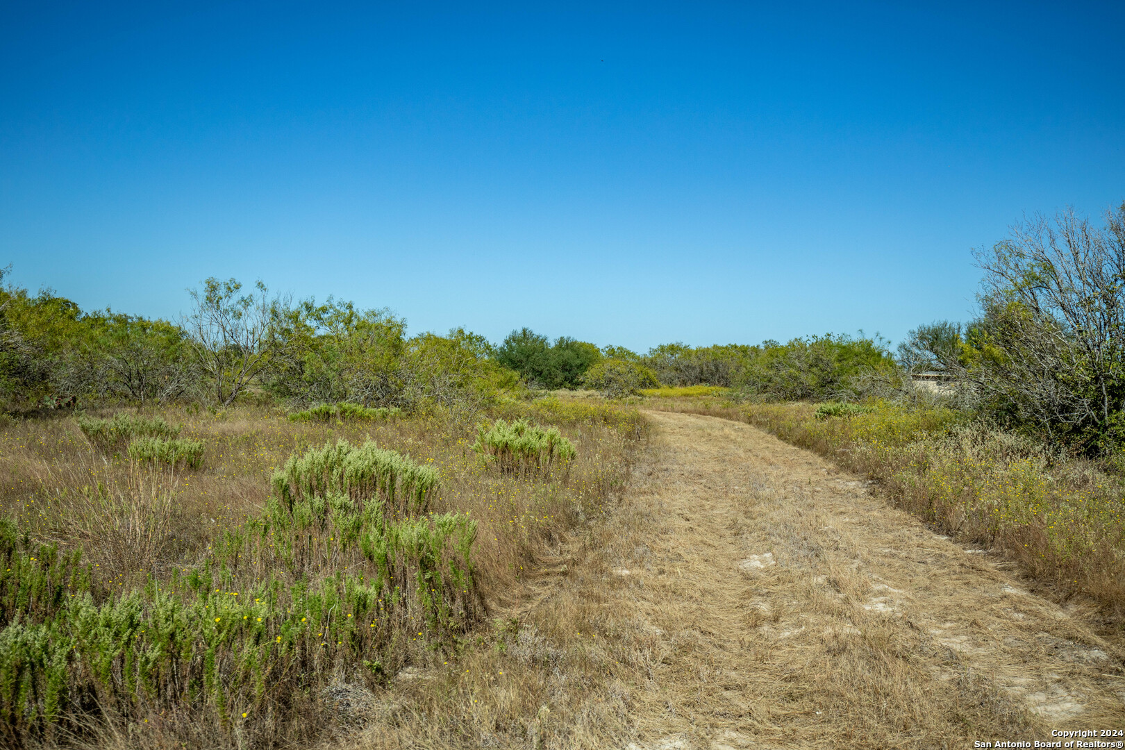 21123 Lamm Road Elmendorf, TX 78112 - Photo 43 of 45 a view of lake with green space