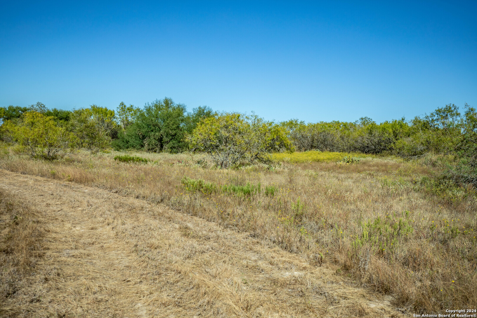 21123 Lamm Road Elmendorf, TX 78112 - Photo 44 of 45 a view of a field with an ocean