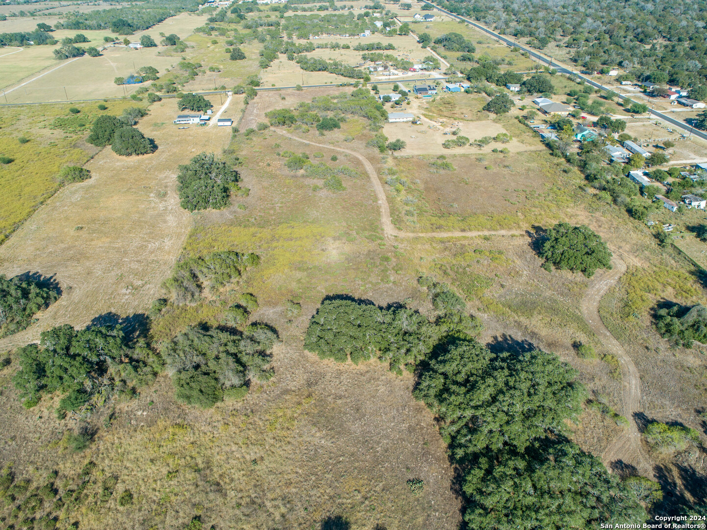 21123 Lamm Road Elmendorf, TX 78112 - Photo 10 of 45 a view of a plant with a yard