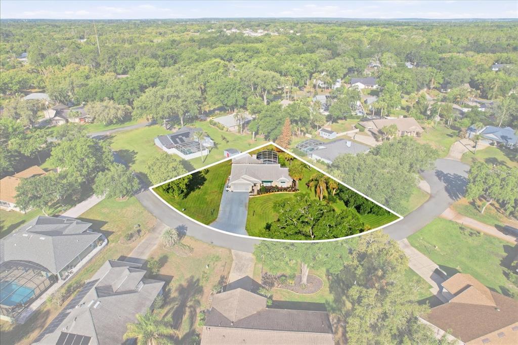 35103 Riverside Court Leesburg, FL 34788 - Photo 7 of 48