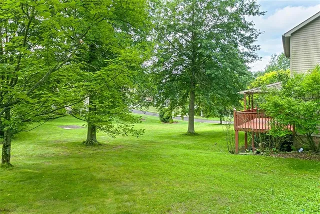 a view of a park with a tree
