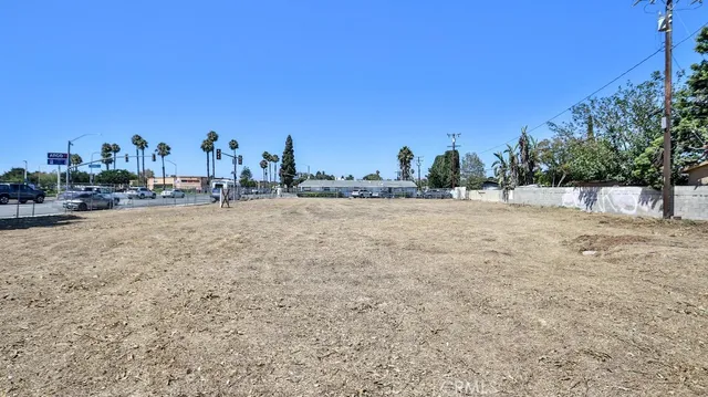 a view of a dry yard with trees