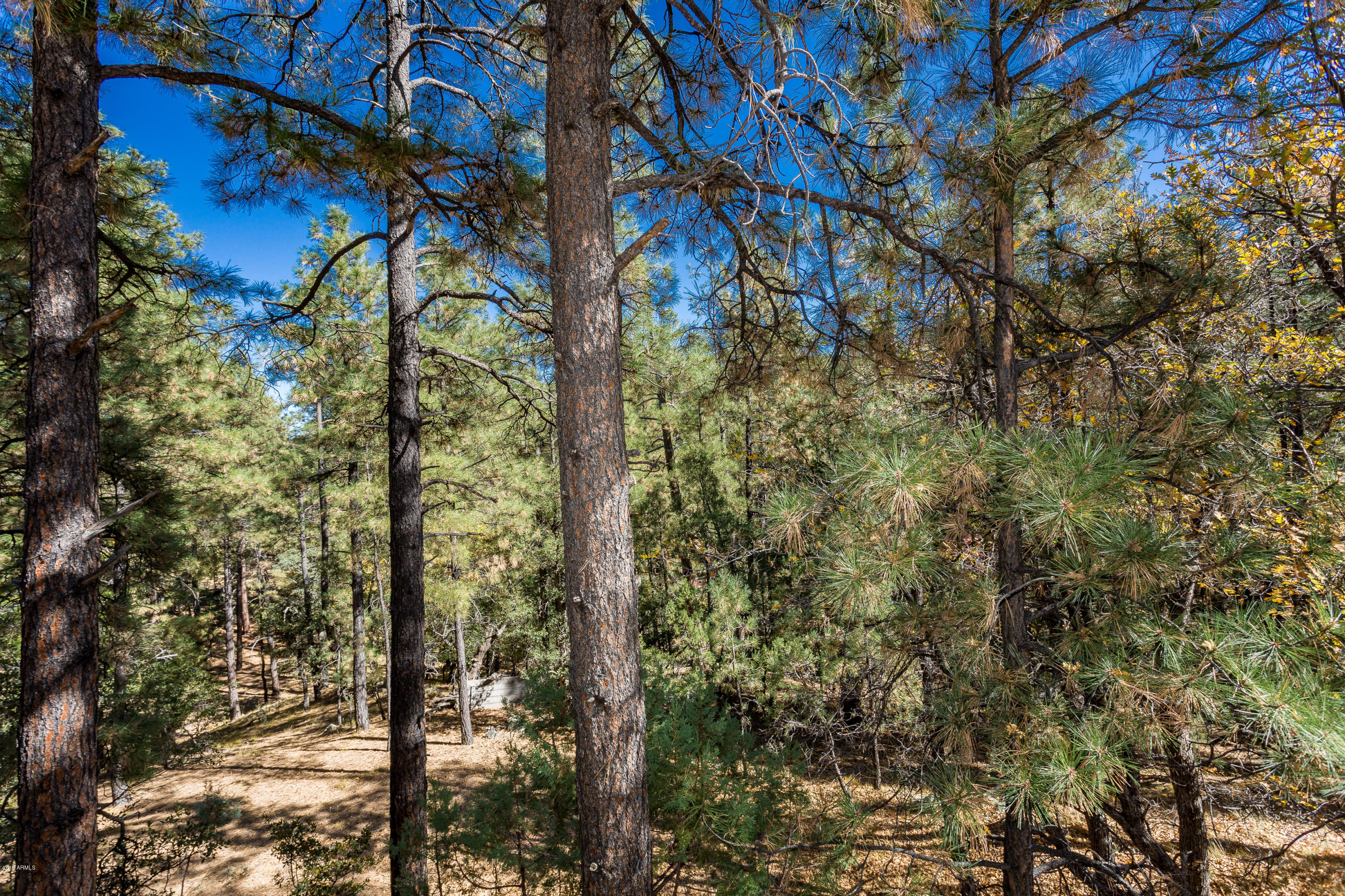 5301 South Blue Jay Road Prescott, AZ 86303 - Photo 18 of 21 018_view