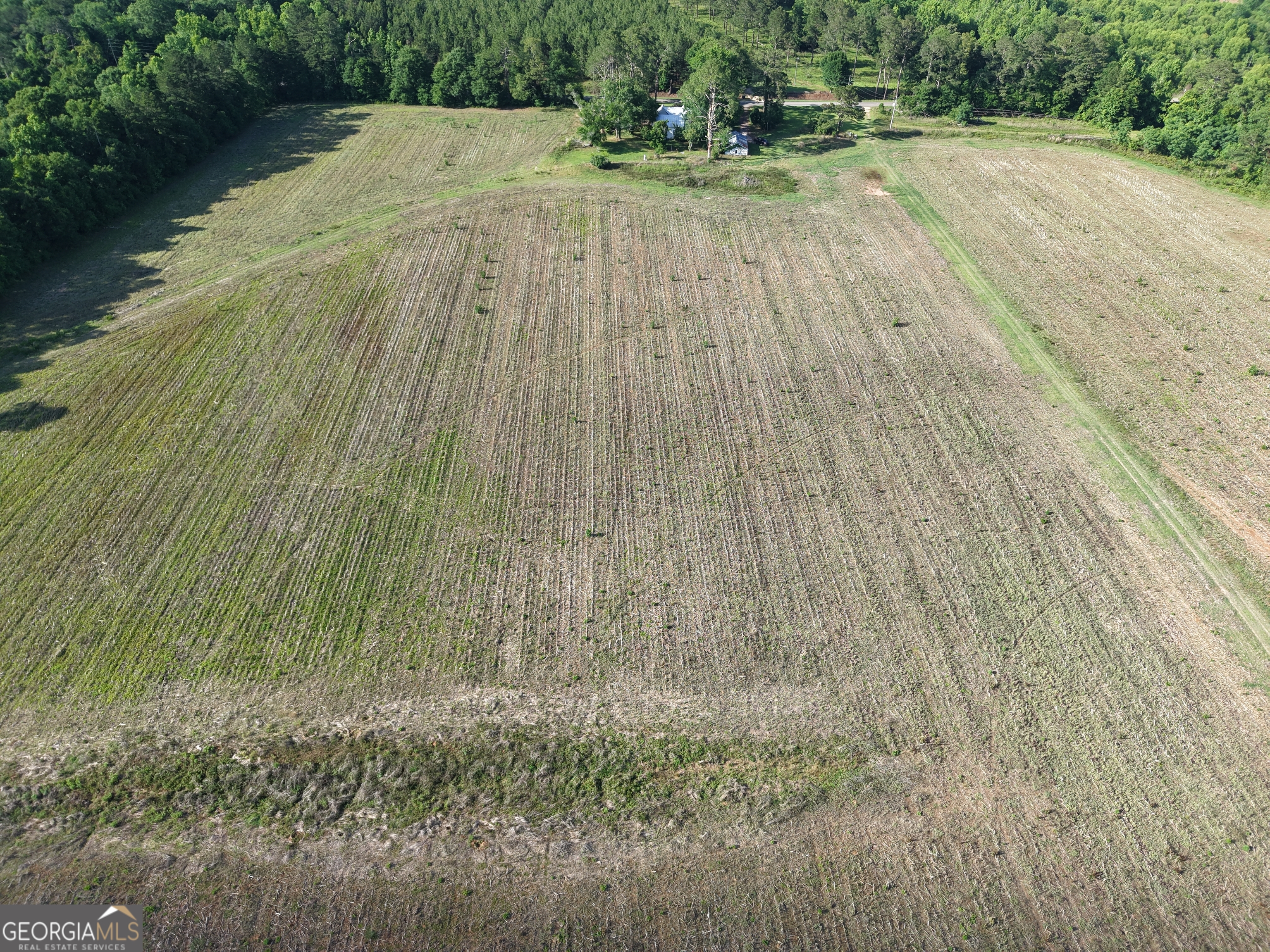 0 West Bluffton Road Bluffton, GA 39824 - Photo 14 of 18