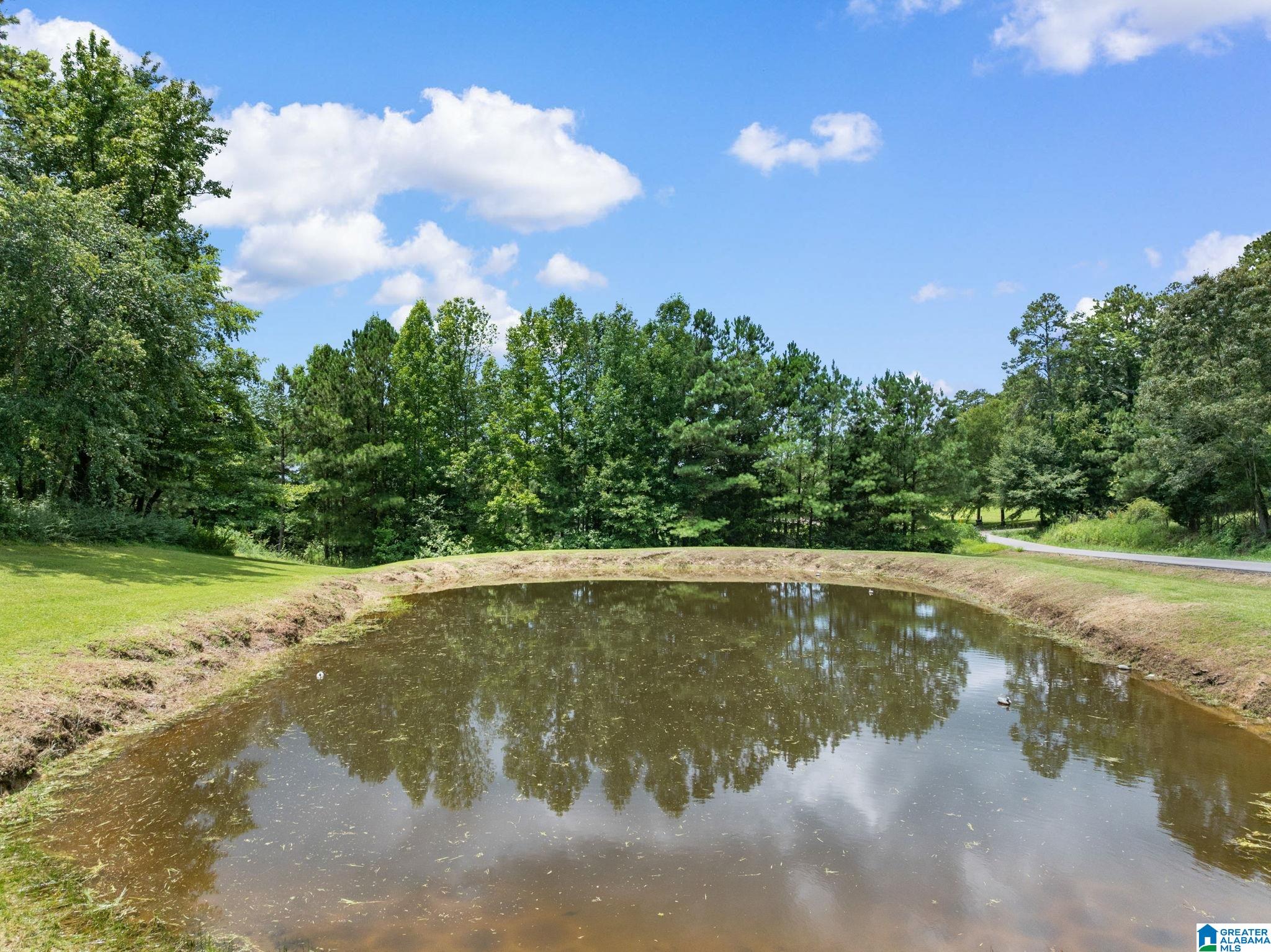 362 Teem Road Cullman, AL 35057 - Photo 61 of 70
