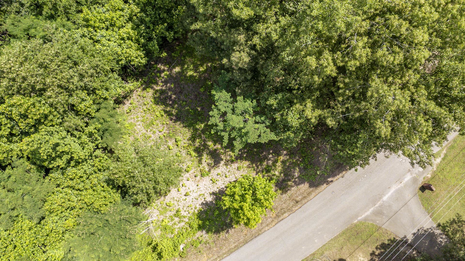 Xxx Oak Grove Road Savannah, TN 38372 - Photo 11 of 29