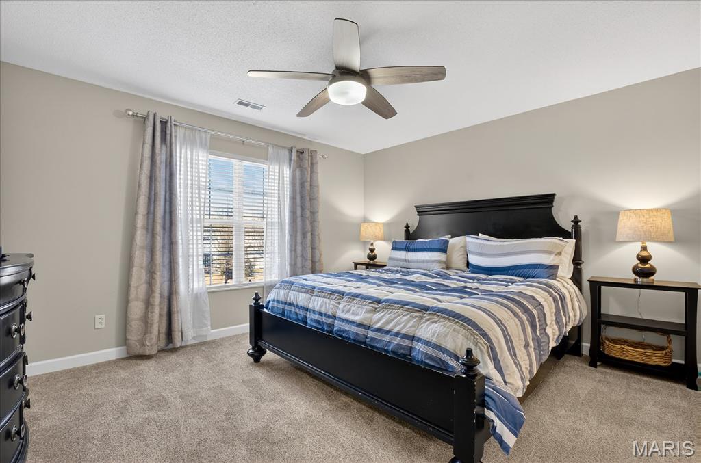 750 Michael Street O'Fallon, IL 62269 - Photo 16 of 43