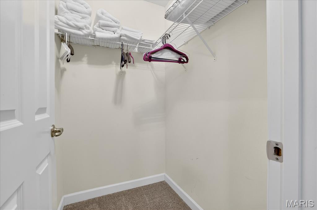 750 Michael Street O'Fallon, IL 62269 - Photo 19 of 43