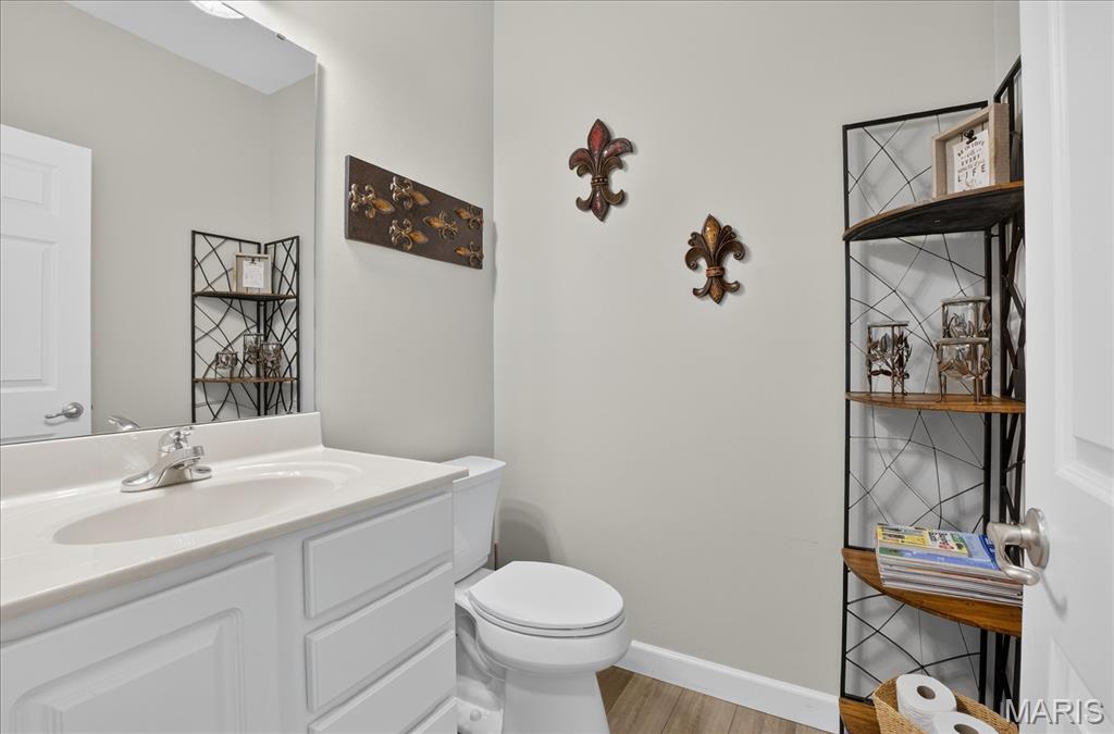 750 Michael Street O'Fallon, IL 62269 - Photo 4 of 43