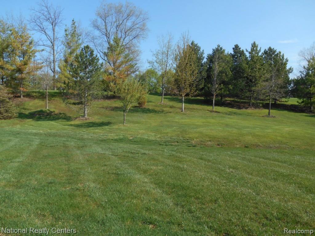 3490 Oakmonte Boulevard, Unit 126 Rochester, MI 48306 - Photo 44 of 53 DSCN0125.jpg