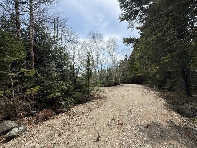 Lot 5 Holmes Bay Farms Road Whiting, ME 04691 - Photo 10 of 23 IMG_9130