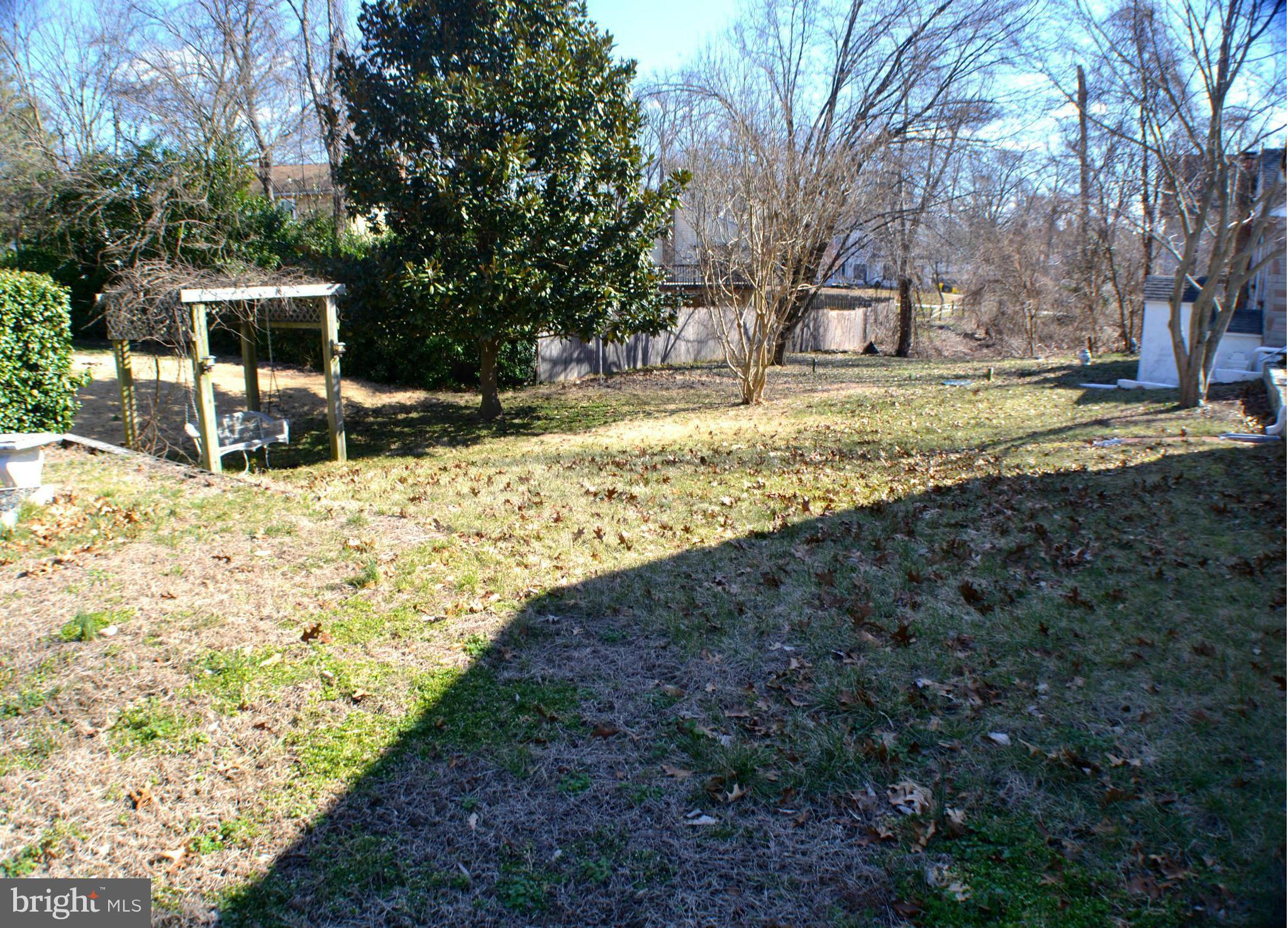 Huge Landscaped Back Yard